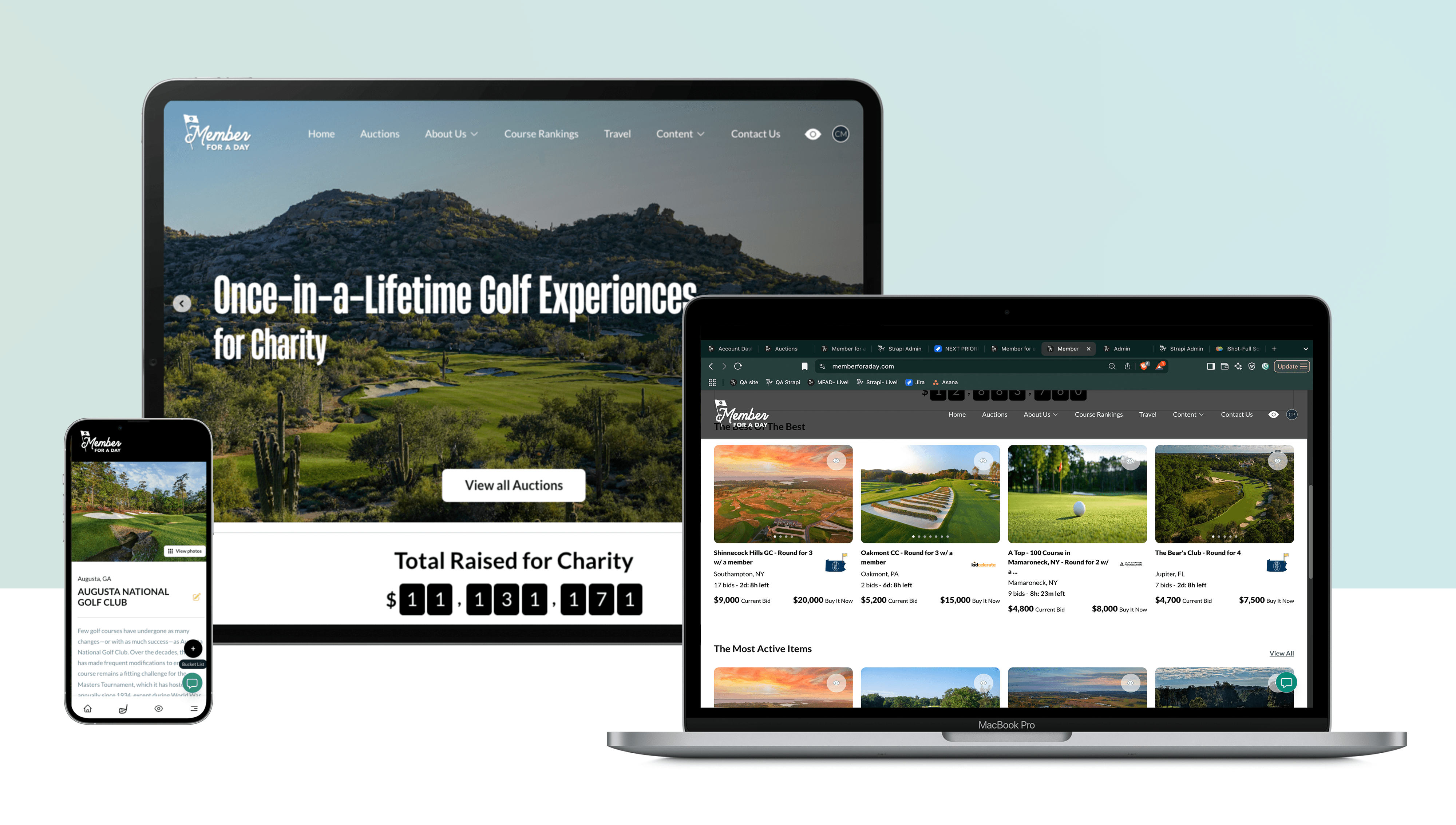 Member for a Day image 2